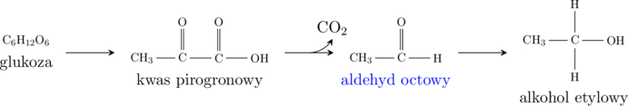  \schemestart \chemname{\chemfig[][scale=0.75]{C_6H_{12}O_6}}{glukoza}\arrow{->}\chemname{\chemfig[][scale=0.75]{CH_3-C(=[2]O)-C(=[2]O)-OH}}{kwas pirogronowy}\arrow{-U>[][\chemfig{CO_2}]}\chemname{\chemfig[][scale=0.75]{CH_3-C(=[2]O)-H}}{\color{blue}aldehyd octowy}\arrow{->}\chemname{\chemfig[][scale=0.75]{CH_3-C(-[2]H)(-[6]H)-OH}}{alkohol etylowy} \schemestop\par 