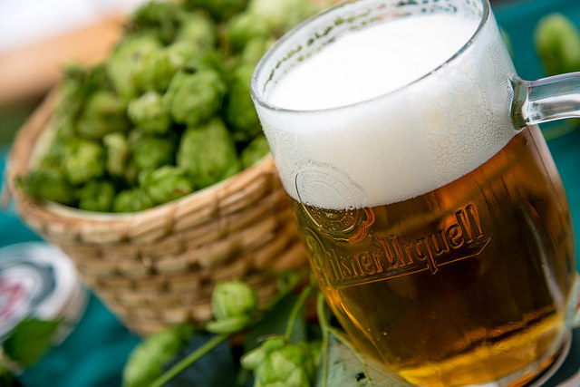 pilsner