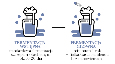 Fermentacja mieszana z bakteriami schemat