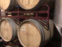 Brew By Numbers